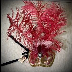 La Masquera Del Galeone Venetian Masquerade mask with feathers Wall Hanging 6”